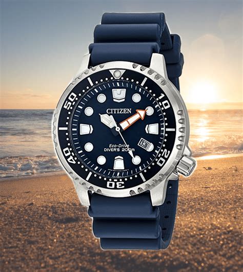 citizens divers watches for men